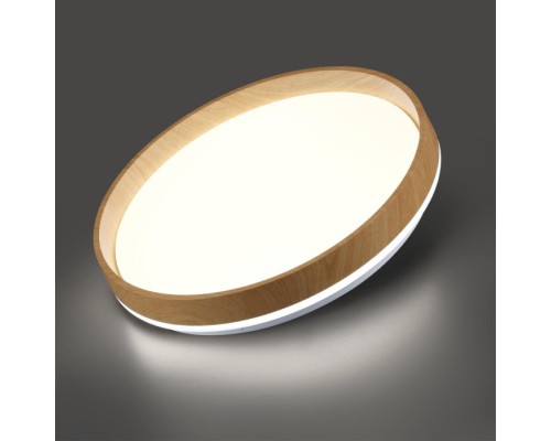 Настенно-потолочный светильник Gari Wood 7684/EL Sonex
