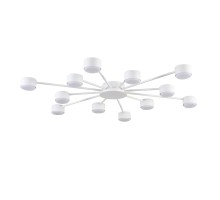 Потолочная люстра Torina 8343/12C Lumion