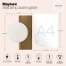 Бра Avant-garde MOD324WL-01BS Maytoni