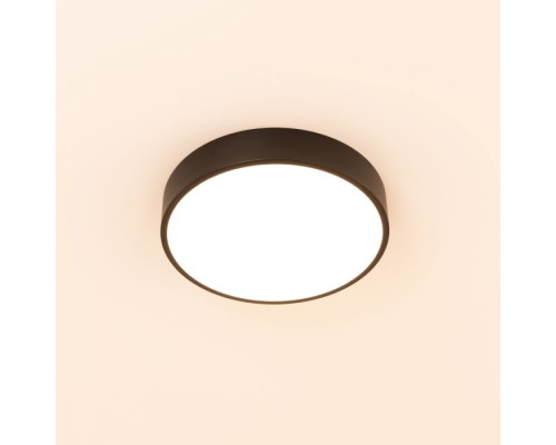 Потолочный светильник Купер CL72424V1 Citilux