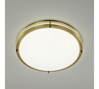 Настенно-потолочный светильник Бостон CL709503N Citilux