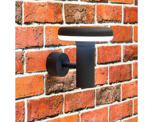 Настенный фонарь уличный  CLU01W Citilux