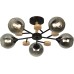 Потолочная люстра Elouisa 9181-305 Rivoli