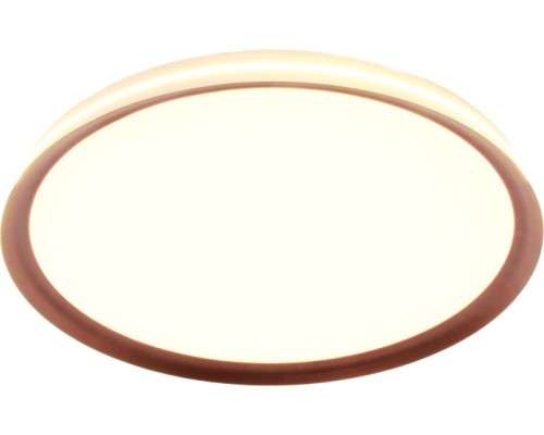 Потолочный светильник Titan MZ31502-430 Mizi'en