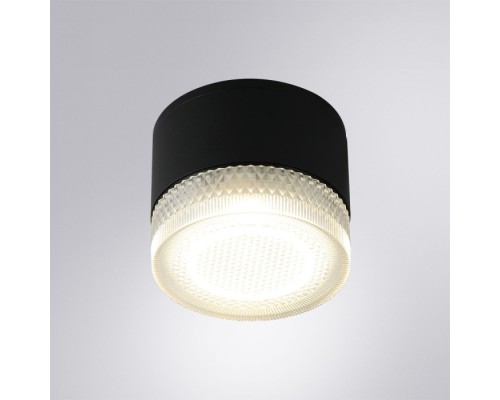 Потолочный светильник уличный Piautos A1926PF-1BK Arte Lamp