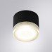 Потолочный светильник уличный Piautos A1926PF-1BK Arte Lamp