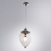 Подвесной светильник Rimini A1091SP-1CC Arte Lamp