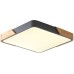 Потолочный светильник Alberro ZRS.01288.24 Zortes