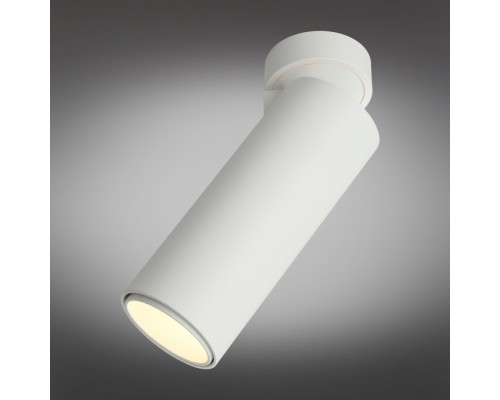 Спот Montella OML-101409-12 Omnilux