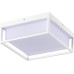 Потолочный светильник уличный Cubo SL9517.502.01 ST Luce