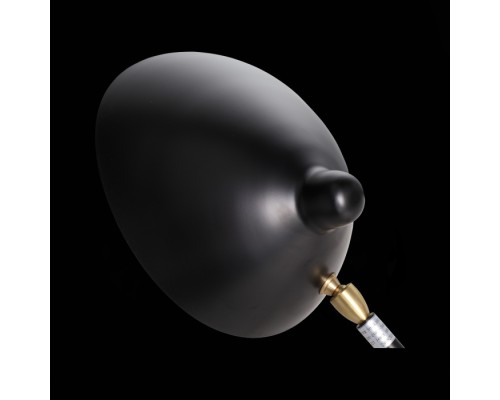 Интерьерная настольная лампа Spruzzo SL305.404.01 ST Luce