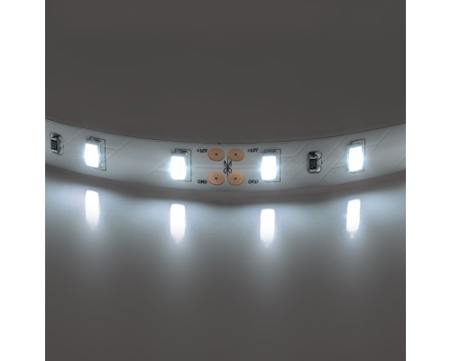 Светодиодная лента  400076 Lightstar