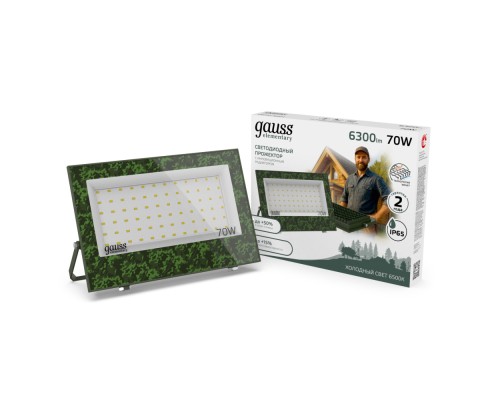 Прожектор уличный  GFD005 Gauss