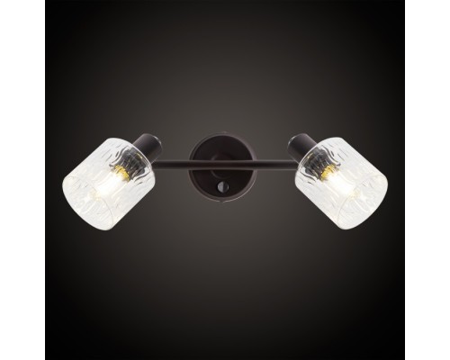 Спот Артик CL510525 Citilux