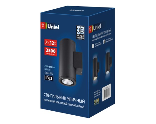 Архитектурная подсветка  ULU-S22D-2x12W/6400K IP65 BLACK Uniel