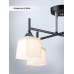 Потолочная люстра Semel WD3640/4C-BK-CR-WT Wedo Light