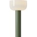 Интерьерная настольная лампа Barries FR6185TL-L5GN Freya