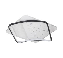 Потолочный светильник LED4U L1037-520 BK LED4U
