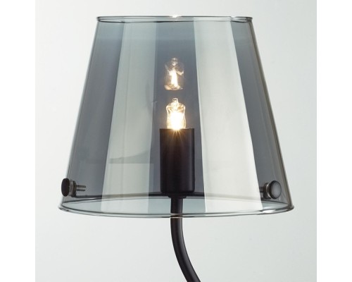 Интерьерная настольная лампа Smoky 6570/1T Lumion