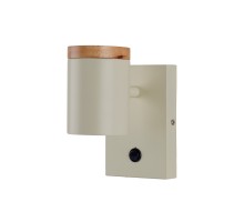 Спот Asheswood V11292-1W Moderli