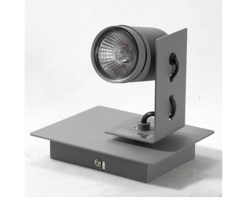 Спот Dillingham GRLSP-8022 Lussole Loft