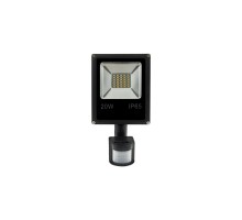 Прожектор уличный  FL-SMD-20-CW-S SWG