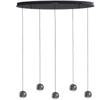 Подвесной светильник Danay LH8027/5P-BK-PBK Lumien Hall