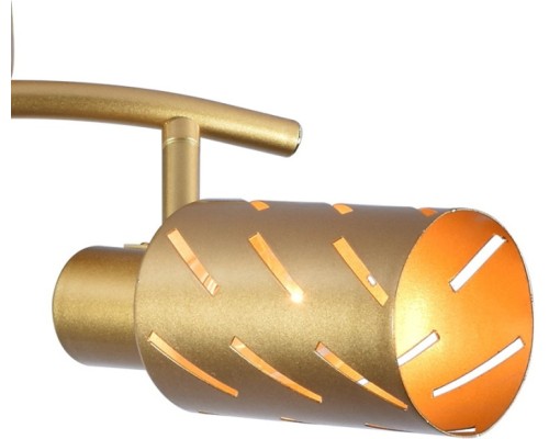 Спот  05970-0.8-02 GOLD Reluce