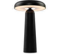 Интерьерная настольная лампа Mushroom FR6109TL-L4B Freya