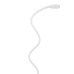 Интерьерная настольная лампа Conference A1106LT-1WH Arte Lamp