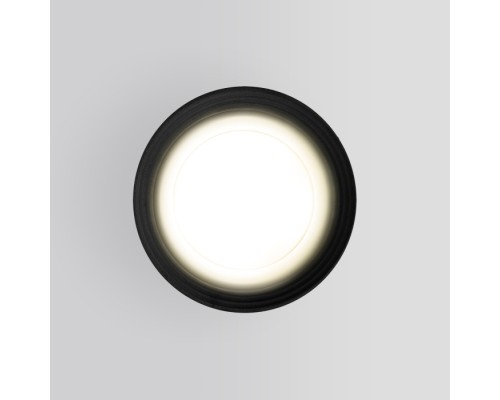 Потолочный светильник уличный Light 35128/H черный Elektrostandard