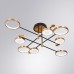Потолочная люстра Holly A1364PL-8PB Arte Lamp