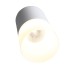 Точечный светильник Ottu ST100.502.10 ST Luce