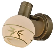 Спот Sharleen TL3790Y-01AB TopLight