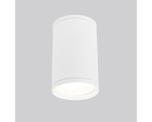 Потолочный светильник уличный Light 35128/H белый Elektrostandard