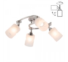 Потолочная люстра Сиерра CL119240 Citilux