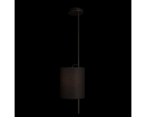 Потолочная люстра Ritz 10253P Black Loft It