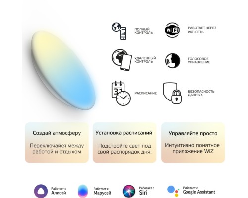 Настенно-потолочный светильник SmartHome 2060112 Gauss