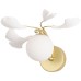 Бра Colibri COLIBRI AP1 GOLD Crystal Lux