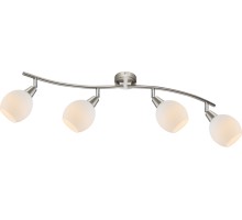 Спот Elliott 54351-4 Globo