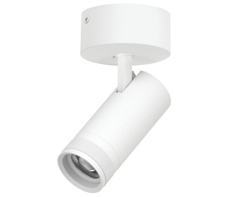 Спот Canno Pro C4206SO Lightstar