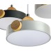Подвесной светильник Scandia 52078 8 Ritter