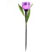 Грунтовый светильник  USL-C-453/PT305 PURPLE TULIP Uniel