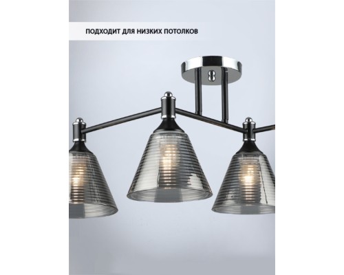 Потолочная люстра Anneta WD3619/4C-BK-CR-SMK Wedo Light