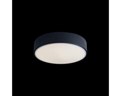 Потолочный светильник Axel 10002/12 Black Loft It
