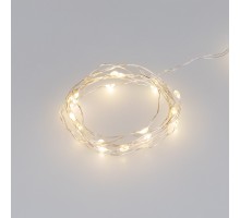 Гирлянда HOME 048691 Arlight