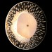 Настенный светильник Contessa CONTESSA AP2.1 Crystal Lux