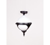 Потолочный светильник уличный VENA 88405A Bl Oasis Light