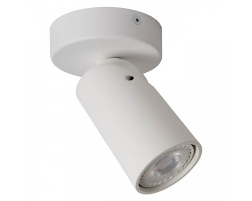 Спот Xyrus  23954/05/31 Lucide