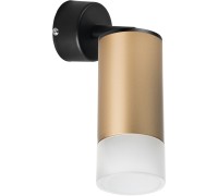 Спот Rullo RB44031 Lightstar